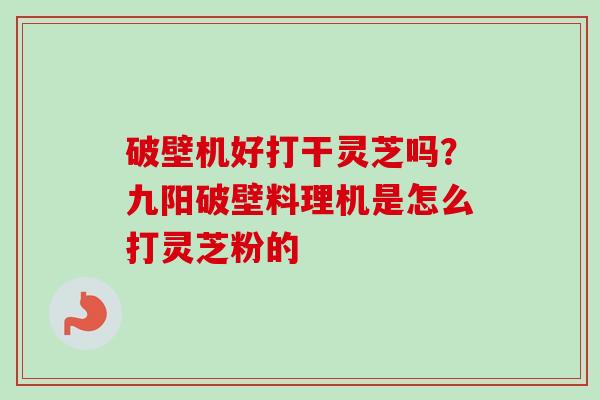 破壁机好打干灵芝吗？九阳破壁料理机是怎么打灵芝粉的
