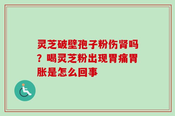 灵芝破壁孢子粉伤肾吗？喝灵芝粉出现胃痛胃胀是怎么回事