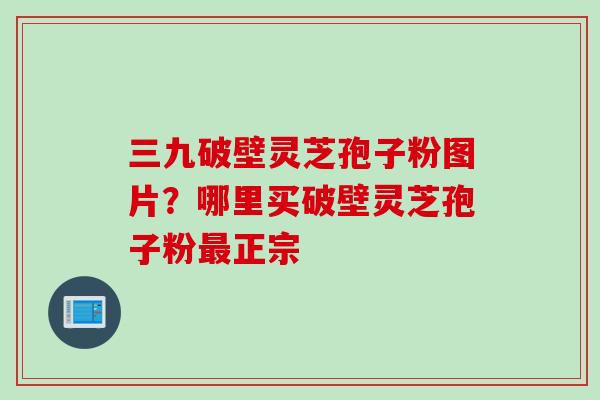 三九破壁灵芝孢子粉图片？哪里买破壁灵芝孢子粉最正宗