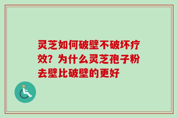 灵芝如何破壁不破坏疗效？为什么灵芝孢子粉去壁比破壁的更好