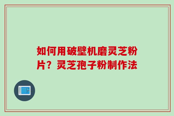 如何用破壁机磨灵芝粉片？灵芝孢子粉制作法