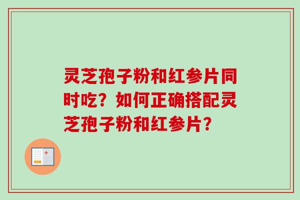 灵芝孢子粉和红参片同时吃？如何正确搭配灵芝孢子粉和红参片？