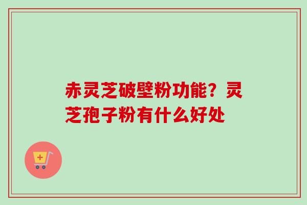 赤灵芝破壁粉功能？灵芝孢子粉有什么好处