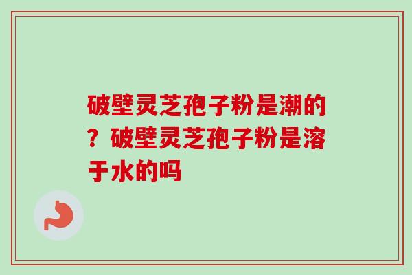 破壁灵芝孢子粉是潮的？破壁灵芝孢子粉是溶于水的吗