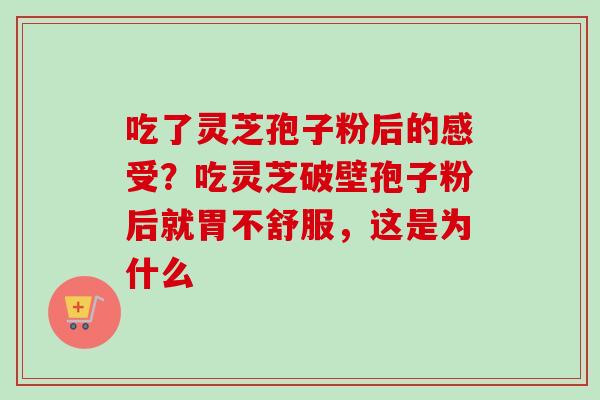 吃了灵芝孢子粉后的感受？吃灵芝破壁孢子粉后就胃不舒服，这是为什么