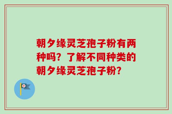 朝夕缘灵芝孢子粉有两种吗?了解不同种类的朝夕缘灵芝孢子粉? 朝夕缘灵芝孢子粉有两种吗?了解不同种类的朝夕缘灵芝孢子粉?