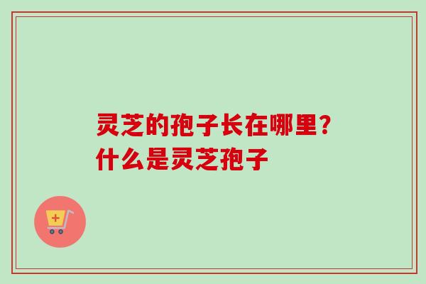 灵芝的孢子长在哪里？什么是灵芝孢子