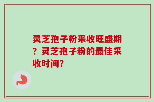 灵芝孢子粉采收旺盛期?灵芝孢子粉的佳采收时间? 灵芝孢子粉采收旺盛期?灵芝孢子粉的佳采收时间?