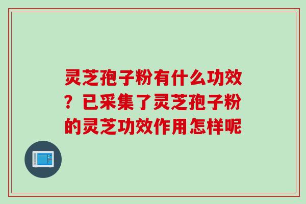灵芝孢子粉有什么功效？已采集了灵芝孢子粉的灵芝功效作用怎样呢