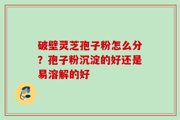 破壁灵芝孢子粉怎么分？孢子粉沉淀的好还是易溶解的好