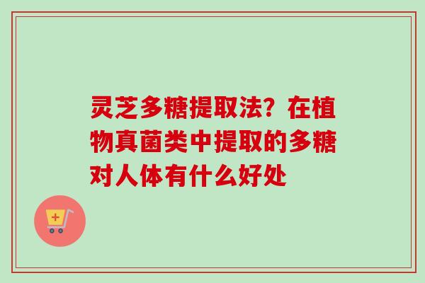 灵芝多糖提取法？在植物真菌类中提取的多糖对人体有什么好处