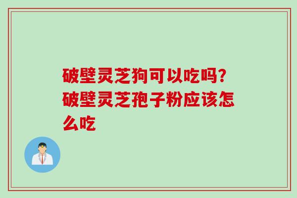 破壁灵芝狗可以吃吗？破壁灵芝孢子粉应该怎么吃