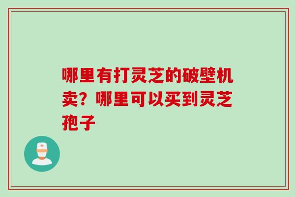 哪里有打灵芝的破壁机卖？哪里可以买到灵芝孢子