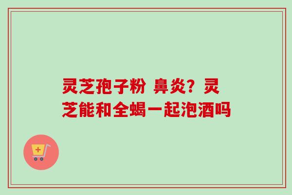 灵芝孢子粉 鼻炎？灵芝能和全蝎一起泡酒吗