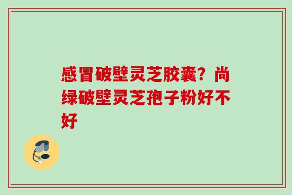 破壁灵芝胶囊?尚绿破壁灵芝孢子粉好不好 破壁灵芝胶囊?尚绿破壁灵芝孢子粉好不好