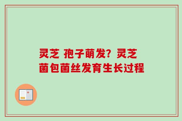 灵芝 孢子萌发？灵芝菌包菌丝发育生长过程