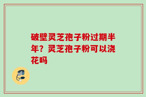 破壁灵芝孢子粉过期半年?灵芝孢子粉可以浇花吗 破壁灵芝孢子粉过期半年?灵芝孢子粉可以浇花吗