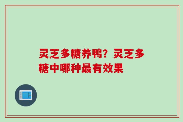 灵芝多糖养鸭?灵芝多糖中哪种有效果 灵芝多糖养鸭?灵芝多糖中哪种有效果