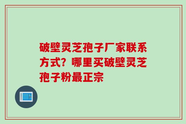 破壁灵芝孢子厂家联系方式？哪里买破壁灵芝孢子粉正宗