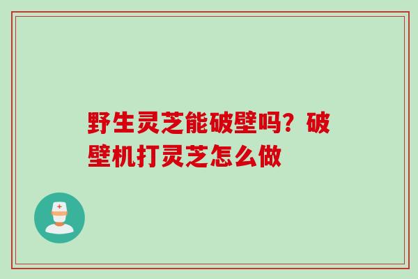 野生灵芝能破壁吗？破壁机打灵芝怎么做