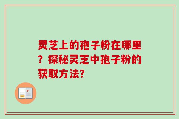 灵芝上的孢子粉在哪里？探秘灵芝中孢子粉的获取方法？