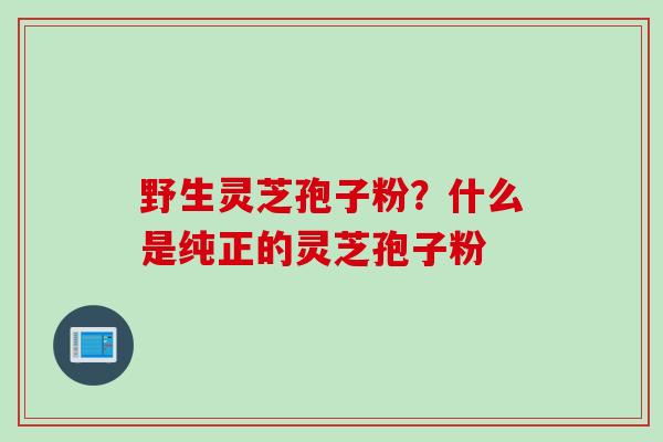 野生灵芝孢子粉？什么是纯正的灵芝孢子粉
