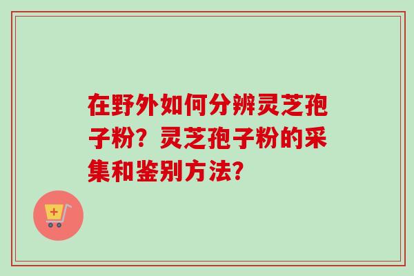 在野外如何分辨灵芝孢子粉？灵芝孢子粉的采集和鉴别方法？
