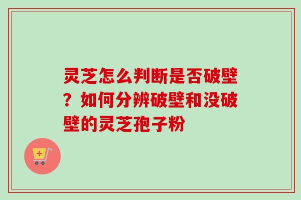 灵芝怎么判断是否破壁？如何分辨破壁和没破壁的灵芝孢子粉