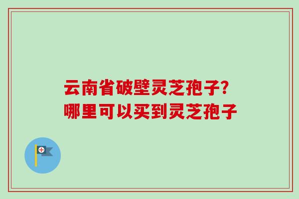 云南省破壁灵芝孢子？哪里可以买到灵芝孢子