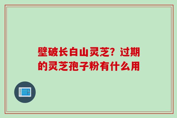 壁破长白山灵芝？过期的灵芝孢子粉有什么用