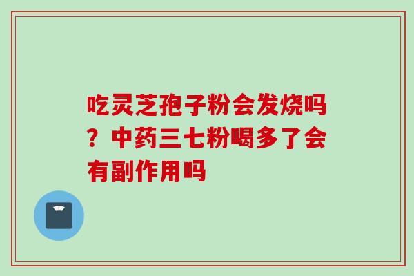 吃灵芝孢子粉会发烧吗？中药三七粉喝多了会有副作用吗