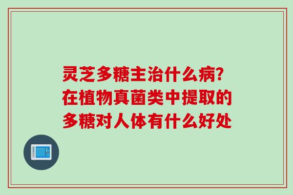灵芝多糖主治什么病？在植物真菌类中提取的多糖对人体有什么好处