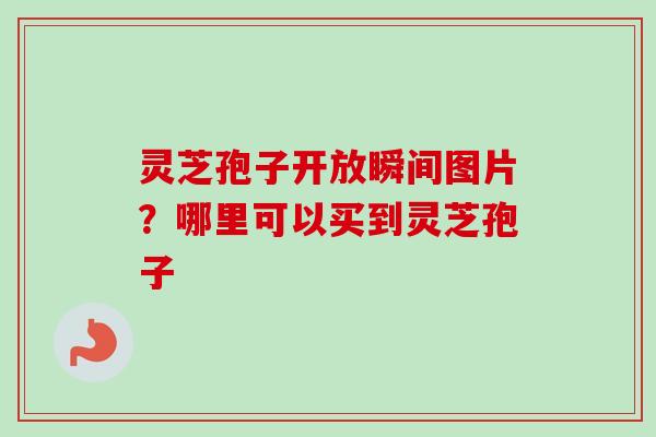 灵芝孢子开放瞬间图片？哪里可以买到灵芝孢子