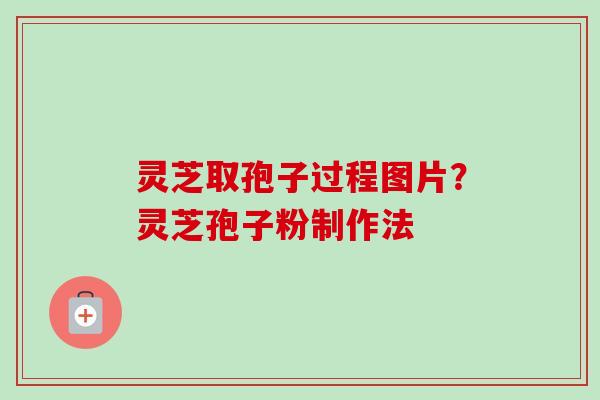 灵芝取孢子过程图片？灵芝孢子粉制作法