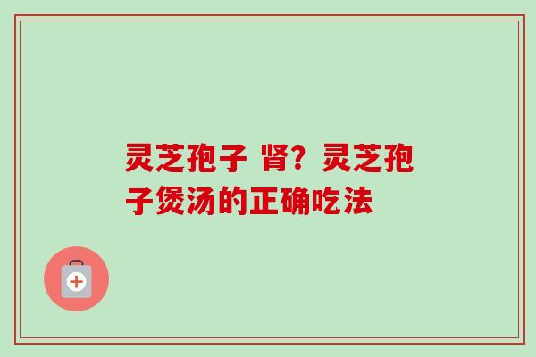 灵芝孢子 肾？灵芝孢子煲汤的正确吃法