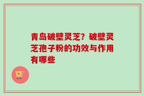 青岛破壁灵芝？破壁灵芝孢子粉的功效与作用有哪些