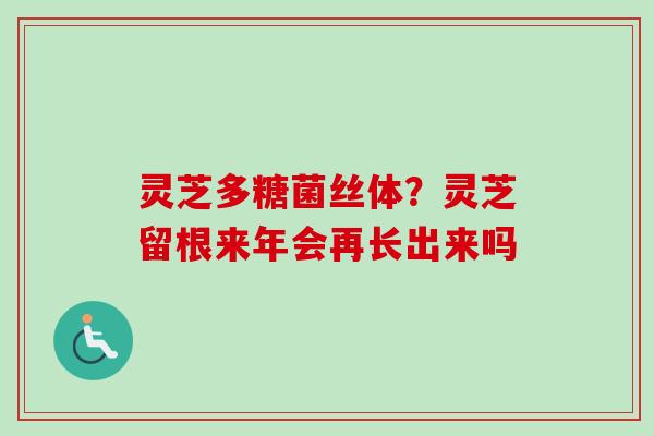 灵芝多糖菌丝体?灵芝留根来年会再长出来吗 灵芝多糖菌丝体?灵芝留根来年会再长出来吗