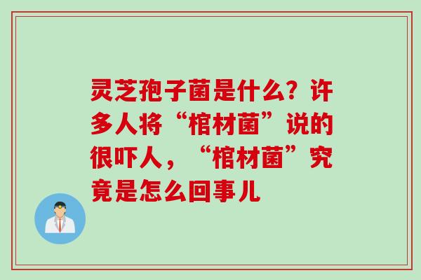 灵芝孢子菌是什么？许多人将“棺材菌”说的很吓人，“棺材菌”究竟是怎么回事儿