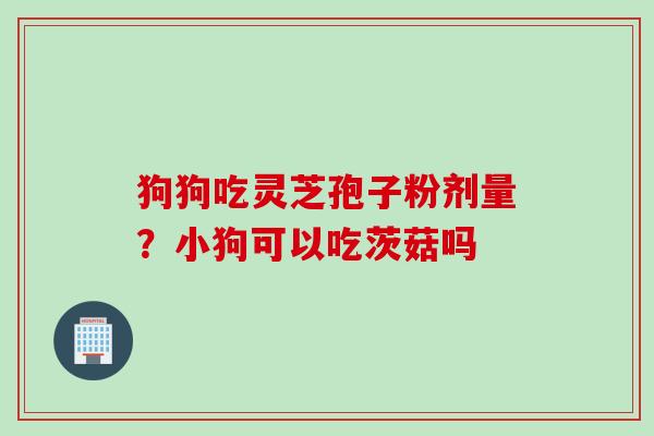 狗狗吃灵芝孢子粉剂量?小狗可以吃茨菇吗 狗狗吃灵芝孢子粉剂量?小狗可以吃茨菇吗
