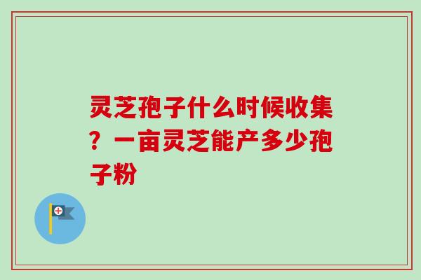 灵芝孢子什么时候收集？一亩灵芝能产多少孢子粉