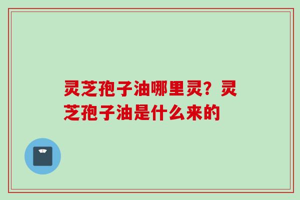 灵芝孢子油哪里灵?灵芝孢子油是什么来的 灵芝孢子油哪里灵?灵芝孢子油是什么来的
