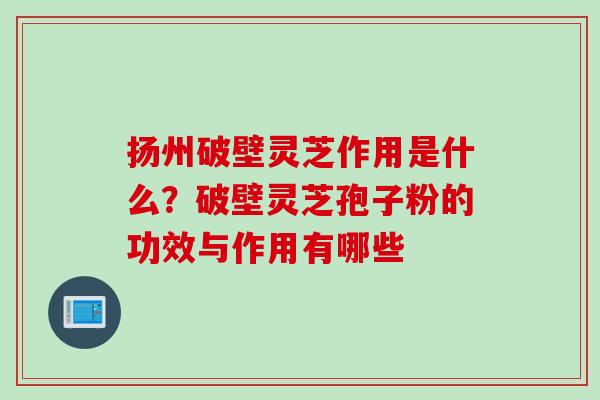 扬州破壁灵芝作用是什么?破壁灵芝孢子粉的功效与作用有哪些 扬州破壁灵芝作用是什么?破壁灵芝孢子粉的功效与作用有哪些