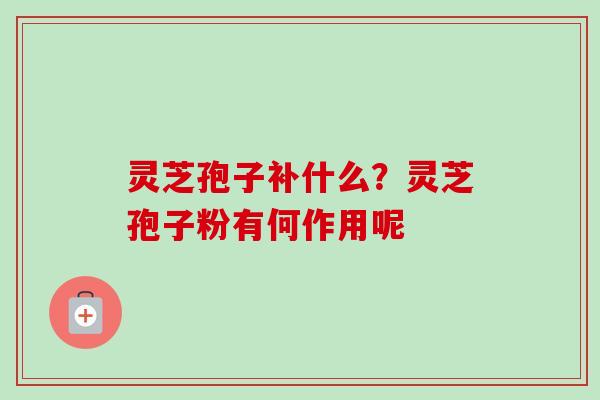 灵芝孢子补什么?灵芝孢子粉有何作用呢 灵芝孢子补什么?灵芝孢子粉有何作用呢