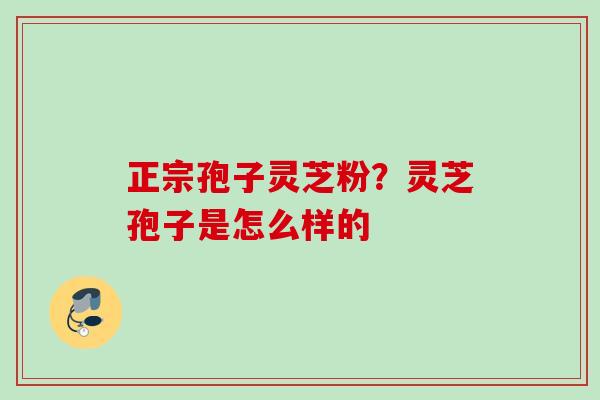 正宗孢子灵芝粉？灵芝孢子是怎么样的
