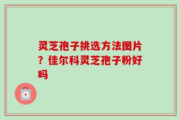灵芝孢子挑选方法图片？佳尔科灵芝孢子粉好吗