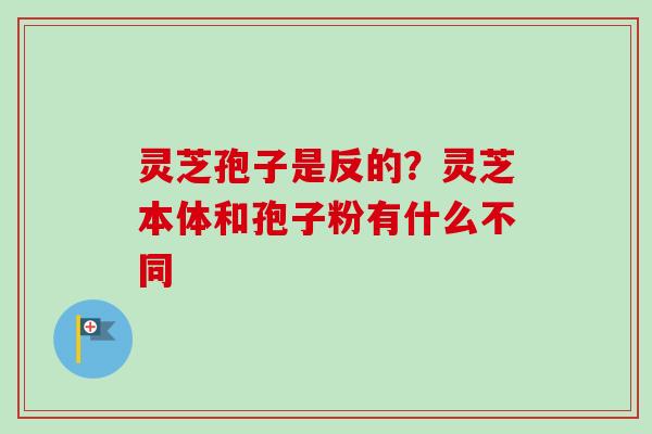 灵芝孢子是反的？灵芝本体和孢子粉有什么不同