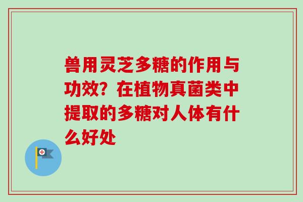 兽用灵芝多糖的作用与功效？在植物真菌类中提取的多糖对人体有什么好处