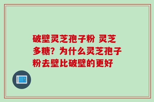 破壁灵芝孢子粉 灵芝多糖?为什么灵芝孢子粉去壁比破壁的更好 破壁灵芝孢子粉 灵芝多糖?为什么灵芝孢子粉去壁比破壁的更好