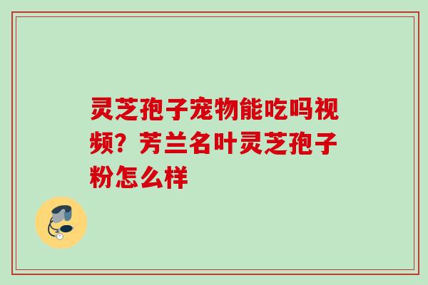 灵芝孢子宠物能吃吗视频？芳兰名叶灵芝孢子粉怎么样