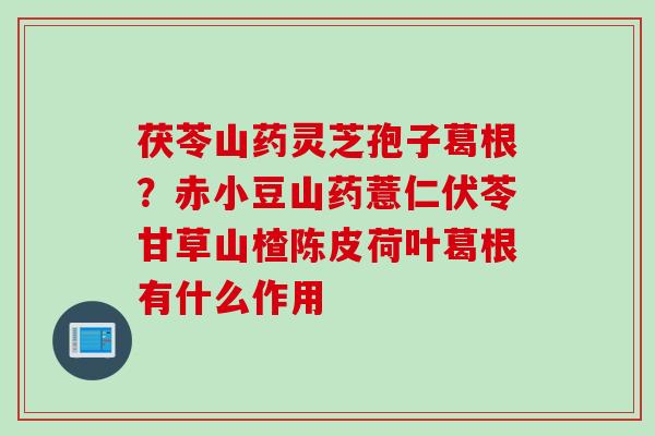茯苓山药灵芝孢子葛根？赤小豆山药薏仁伏苓甘草山楂陈皮荷叶葛根有什么作用